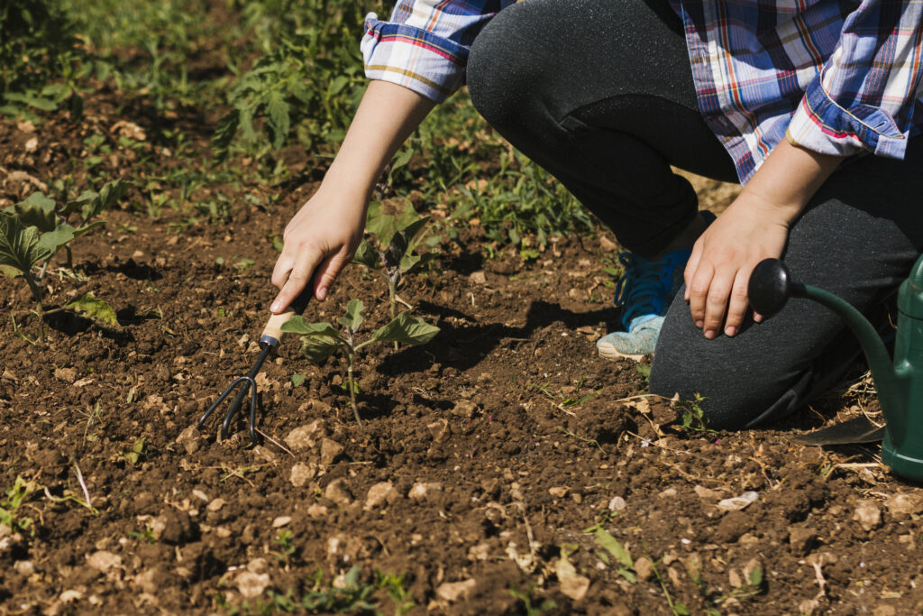 The Importance of Soil Health in Agriculture