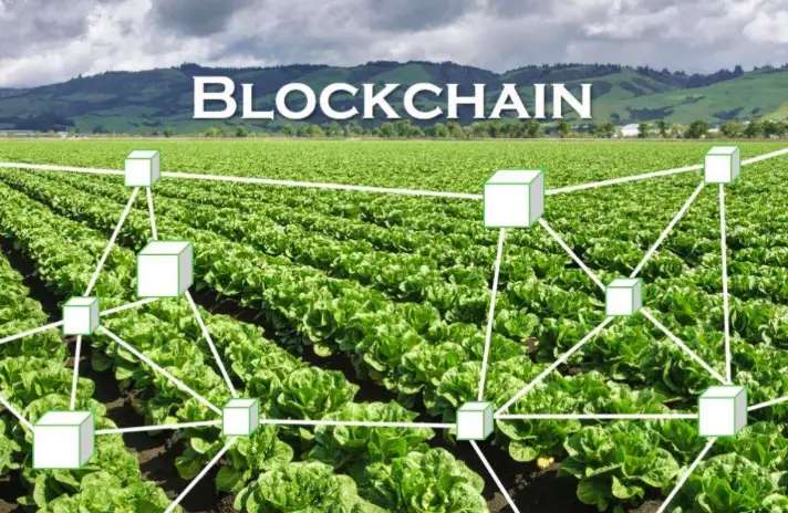 Blockchain in Agriculture: Enhancing Transparency and Traceability