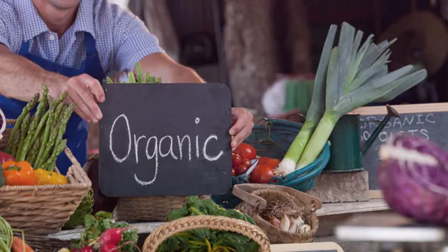 Organic Farming: Nurturing Healthier Soils and Safer Food