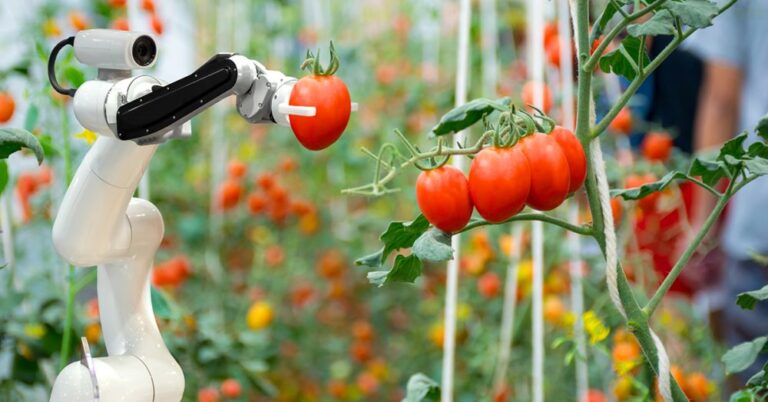 Robotics in Agriculture: Automating Farming Tasks for Increased Efficiency