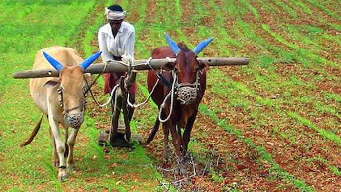 மத்திய அரசு புதிய திட்டம்: நாடு முழுவதும் விவசாயிகளுக்கு அடையாள அட்டை