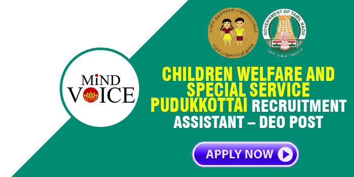 Pudukkottai DCPU Recruitment: Assistant – DEO Post – APPLY NOW! Last Date: 20.09.2024